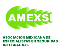 AMEXSI AMEXSI logo