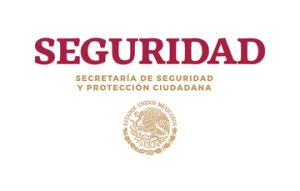 seguridad