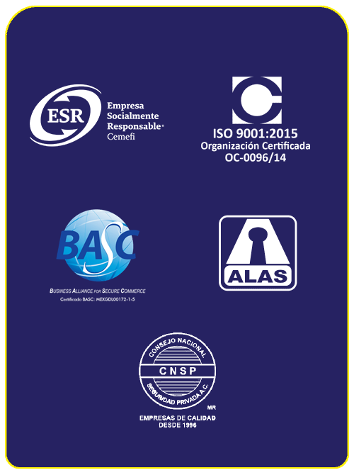 certificaciones_25b_m certificaciones mspv 2025