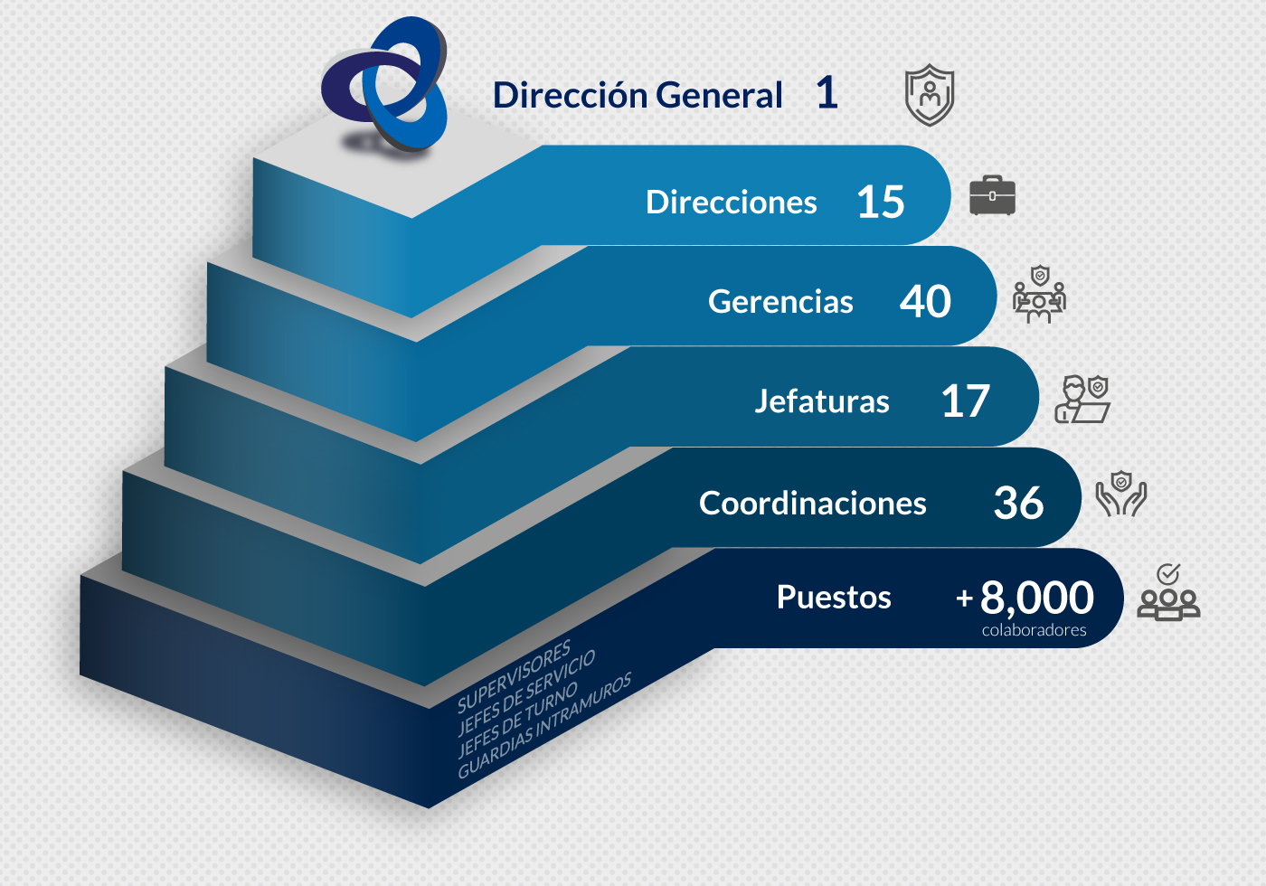 organigrama MSPV