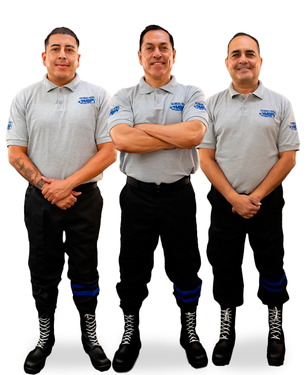 custodios de mercancías