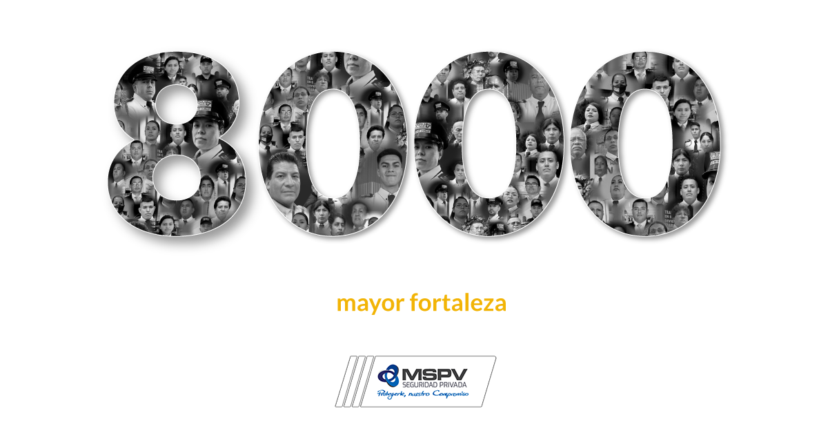 Colaboradores MSPV Seguridad Privada en México